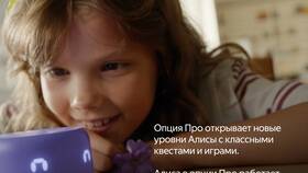 Алиса: что такое ООО в ИКЕНация