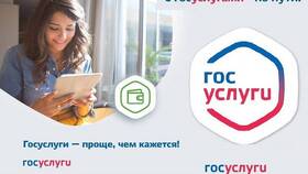 Как оформить инвалидность через Госуслуги в ИКЕНация