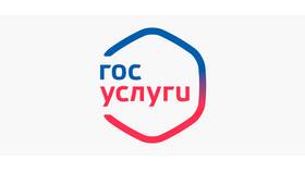 Как оплатить госпошлину через Госуслуги в ИКЕНация