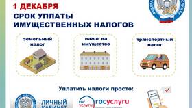 Как оплатить налоги через личный кабинет налогоплательщика в ИКЕНация