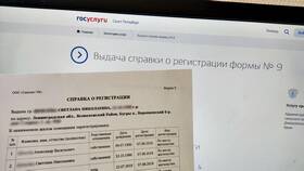 Как получить сведения о трудовой деятельности через Госуслуги в ИКЕНация