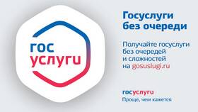Как получить выплаты через портал Госуслуги в ИКЕНация