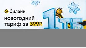 Как поменять тариф Билайн на телефоне самостоятельно в ИКЕНация
