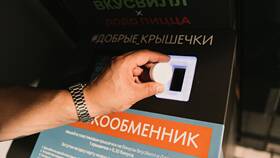 Как применить Додокоины в приложении Додо в ИКЕНация