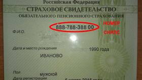 Как узнать СНИЛС родителей в ИКЕНация