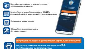 Как войти в приложение ФНС в ИКЕНация