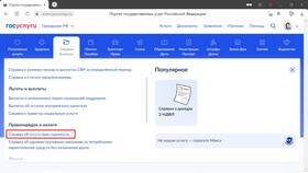 Как заказать справку о несудимости через Госуслуги в ИКЕНация