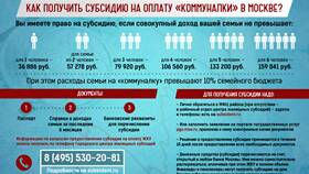 На что можно получить субсидию в России в ИКЕНация