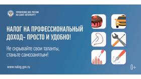 Налог на профессиональный доход (НПД) для ИП в ИКЕНация