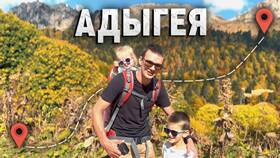 Визы: что решили в ИКЕНация