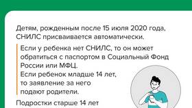 Зачем мошенники требуют СНИЛС в ИКЕНация